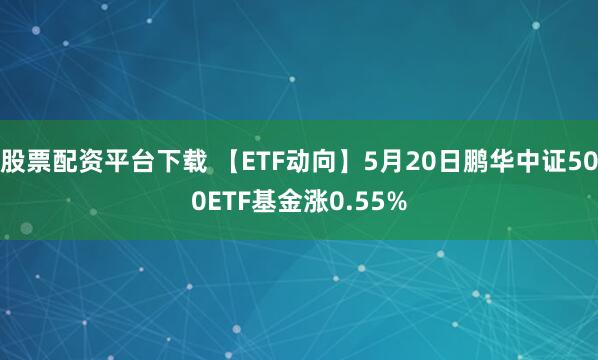 股票配资平台下载 【ETF动向】5月20日鹏华中证500ETF基金涨0.55%