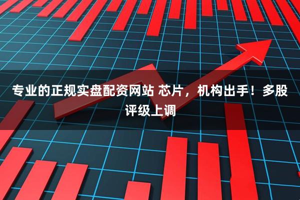 专业的正规实盘配资网站 芯片，机构出手！多股评级上调