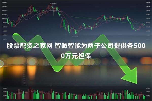 股票配资之家网 智微智能为两子公司提供各5000万元担保