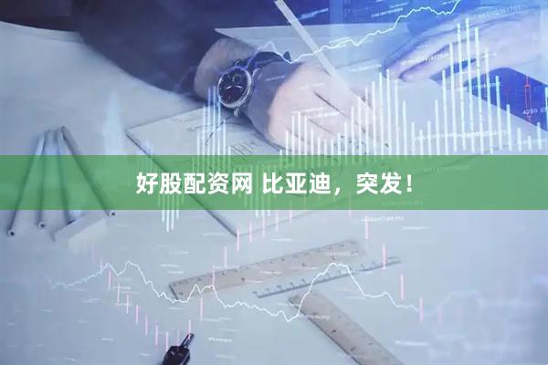 好股配资网 比亚迪，突发！
