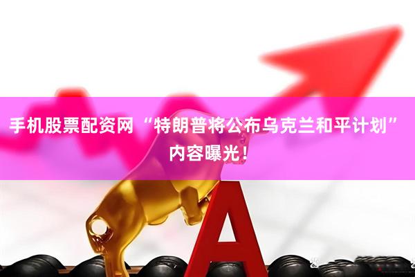 手机股票配资网 “特朗普将公布乌克兰和平计划” 内容曝光！