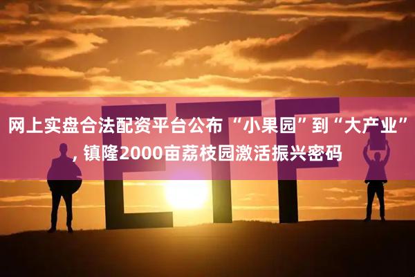 网上实盘合法配资平台公布 “小果园”到“大产业”, 镇隆2000亩荔枝园激活振兴密码