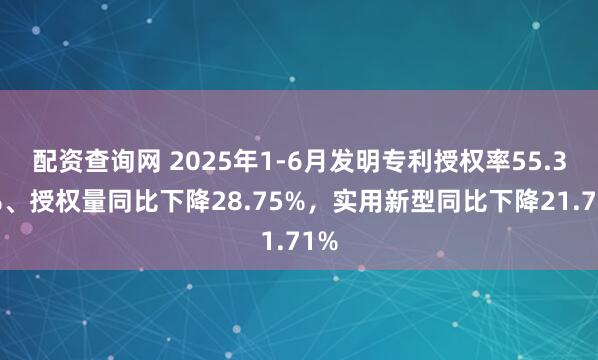配资查询网 2025年1-6月发明专利授权率55.32%、授权量同比下降28.75%，实用新型同比下降21.71%