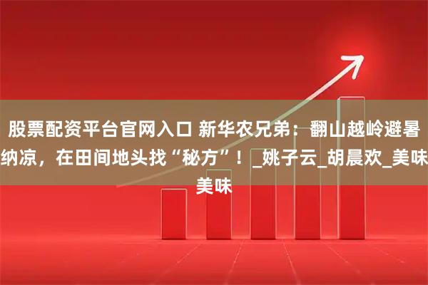 股票配资平台官网入口 新华农兄弟：翻山越岭避暑纳凉，在田间地头找“秘方”！_姚子云_胡晨欢_美味